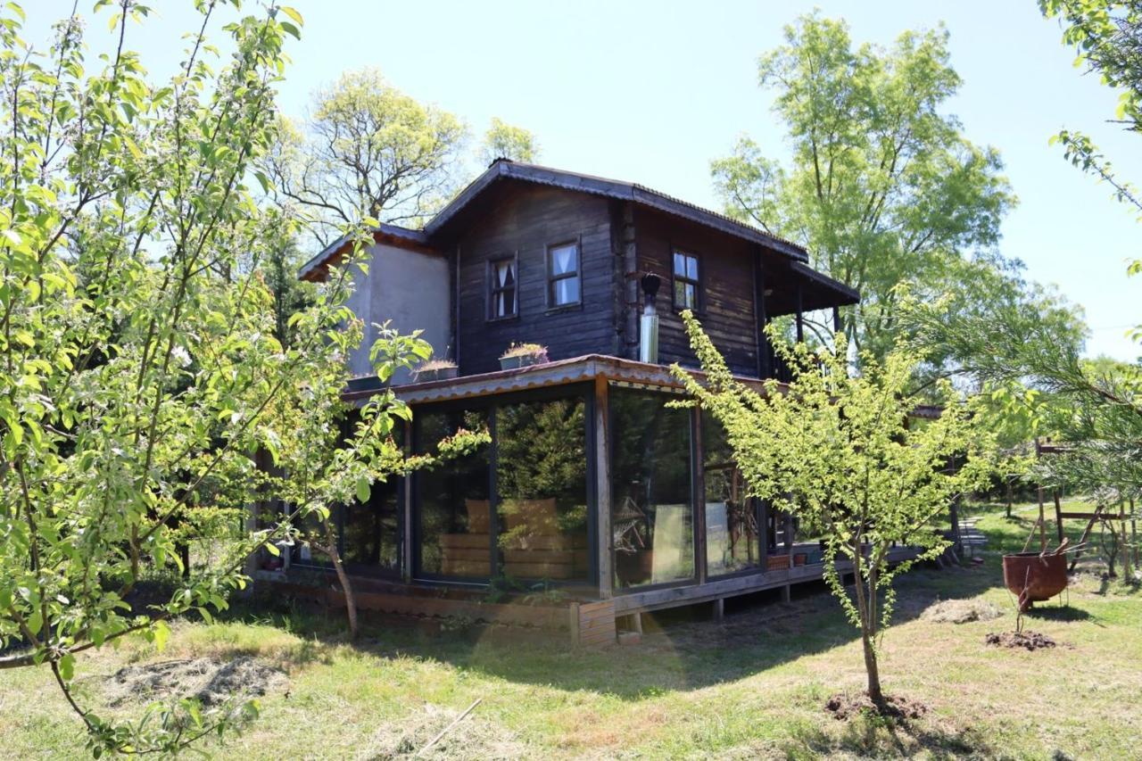 House With Backyard And Winter Garden In Agva Villa Geredeli Eksteriør billede